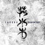 光と崖 cover