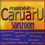 Forrozão De Caruaru cover