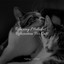Relaxing Melodies | Relaxation For Cats cover