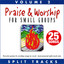 Praise & Worship for Small Groups (Whole Hearted Worship), Vol. 2 [Split Tracks] cover