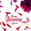 Pappy Kojo/$pacely - Blessing