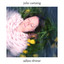 Julie Castaing - Adieu reveur