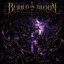 Just Laura - Buried in Bloom, Buried Alive