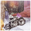 Unknown Title cover