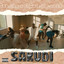 Sakudi cover