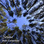#1 Hour of Serene Rain Collection cover