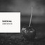 # 1 A 2019 Album: Soothing Ambience cover