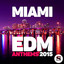 Miami Edm Anthems 2015 cover