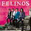 Los Felinos - Bomba S****l