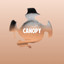 Canopy cover