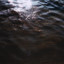 Pure Shores