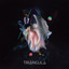 Hermana cover
