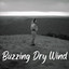Buzzing Dry Wind cover