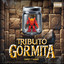 Tributo Gormita (Non resisto più!)
