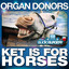 Ket Is For Horses - Darren Styles Remix