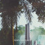 Amazon cover
