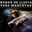 Nanas De Lluvia Para Mascotas: Melodías De Lluvia Pacífica Para Lidiar Con La Ansiedad Por Separación cover