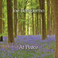 Joe Bongiorno - Precious Peace