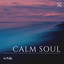 Calm Soul cover