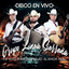 Me Importa Madre - En Vivo cover
