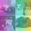 Smoky Tenor Sax Chill Out - Bgm for Soothing Your Dog cover