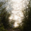 "sun room" - phurlough from ""