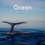 Ocean Defender cover