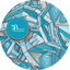 Markus Homm — No Image cover art