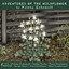 Adventures of the Wildflower cover