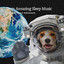 Dogs Amazing Sleep Music: Ambient Space Adventure cover