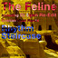 The Feline - Cristian Vinci Dub Mix