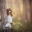 Forest Paws: Dogs Dreaming cover