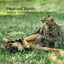 Paws and Rapids: Soothing Nature Sounds for Pet Relaxation cover