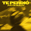 JUSTIN QUILES - TE PERDIO