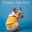 Storms For Pets: The Best Separation Anxiety Music For Cats & Dogs cover