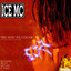 Eurodance Megamix 2003 - Eurodance Megamix 2003