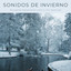 Sonidos De Invierno: Relajantes Pensamientos Junto Al Río Congelado cover