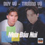 Mưa Đầu Núi cover