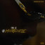 I Ain't Gone Lie cover