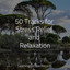 50 Tracks for Stress Relief and Relaxation cover