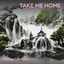 Take Me Home cover