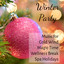Winter Party - Instrumental Nature Soothing Music for Cold Wind Magic Time Wellness Break Spa Holidays with Relaxing Healing Binaural Sounds cover