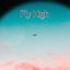 Fly High