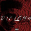 Diploma cover