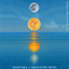 Reflections - Magnafide Remix artwork