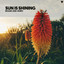 Sun is Shining - Extended Mix