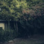 I Ran The Zoo - Digital Version