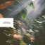 Rustborne - Smoke Signals