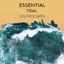 zZz Essential Tidal Soundscapes zZz cover