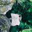 MOONCHILD cover